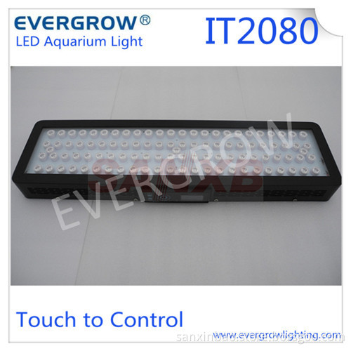 Reef Coral Grow Light Remote Programmable Aquarium LED Fixture